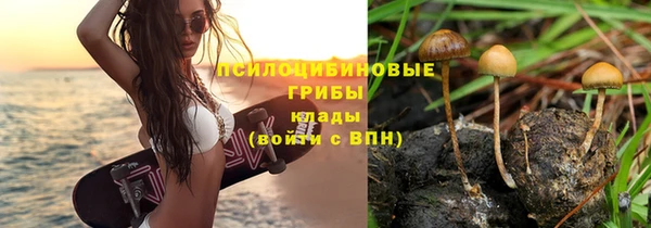 мяу мяу мука Абдулино