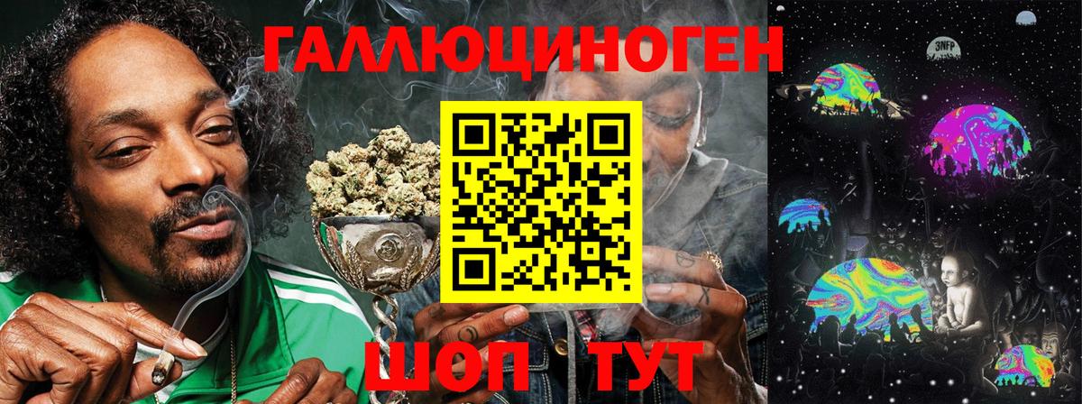 Псилоцибиновые грибы прущие грибы Новотроицк